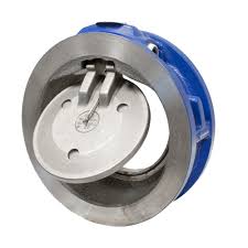 Disk Check Valves