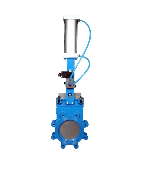 Knife Edge Gate Valve