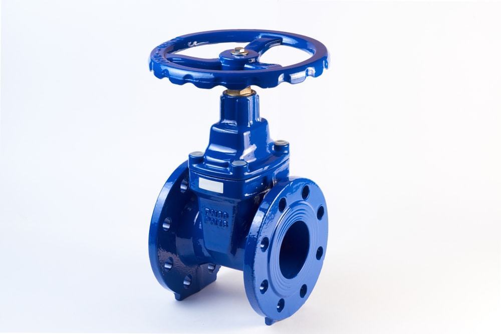 Gate Valve Manufacturers in India
                        